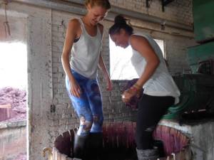 983718_10201269276763218_1685883197_n